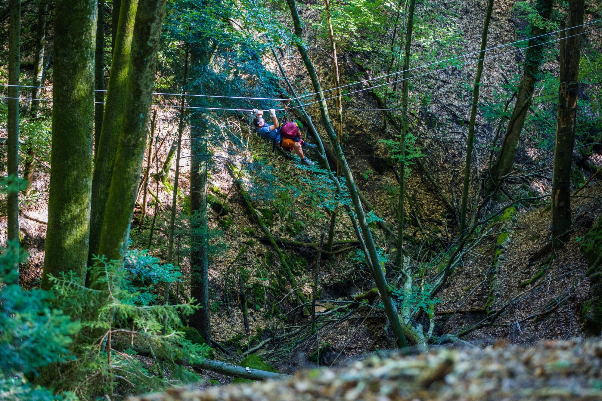 Eine Person hangelt sich im Wald an einem Seil entlang