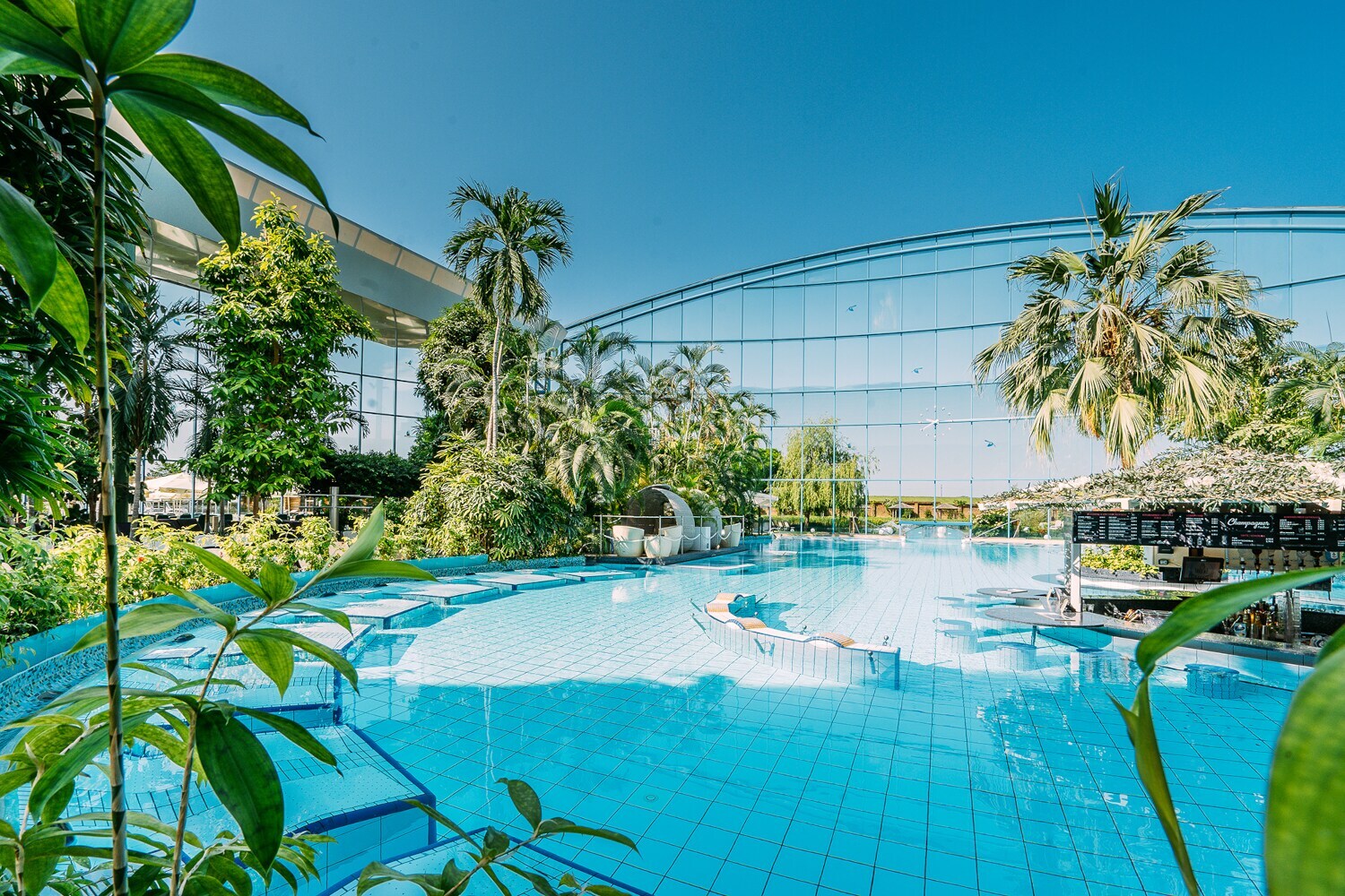 Eine von tropischen Pflanzen umgebene Outdoor-Poollandschaft vor einem verspiegeltem Gebäudekomplex Eine von tropischen Pflanzen umgebene Outdoor-Poollandschaft vor einem verspiegeltem Gebäudekomplex