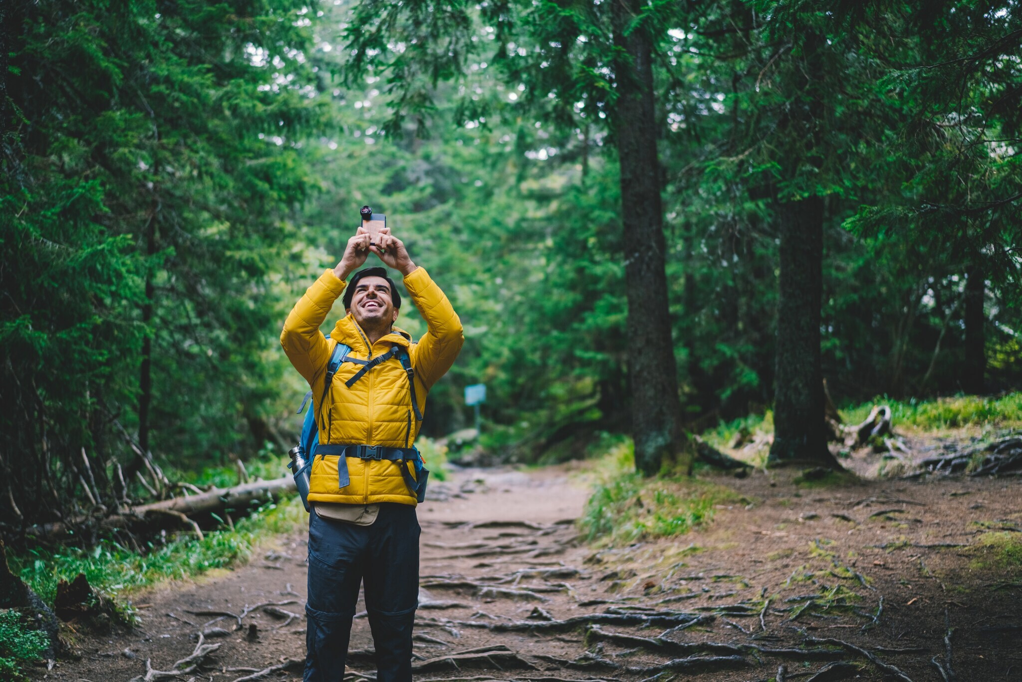 Ein Wanderer fotografiert in einem Wald mit seinem Handy in Richtung Himmel