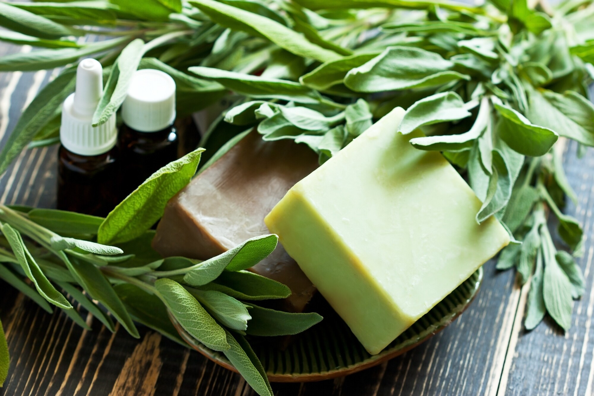 Zwei Stück Seife, kleine Kosmetikflaschen und grüne Zweige auf einem Tisch Zwei Stück Seife, kleine Kosmetikflaschen und grüne Zweige auf einem Tisch