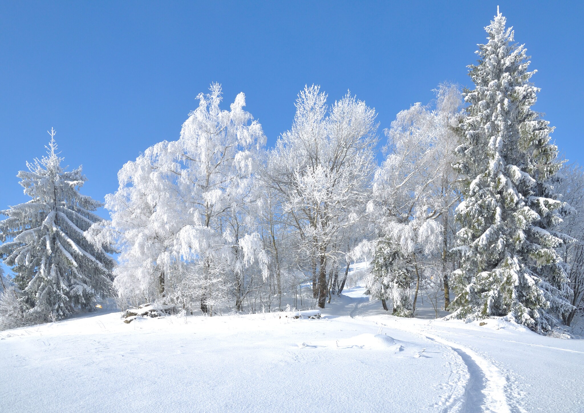 Eine Winterlandschaft mit schneebedeckten Bäumen