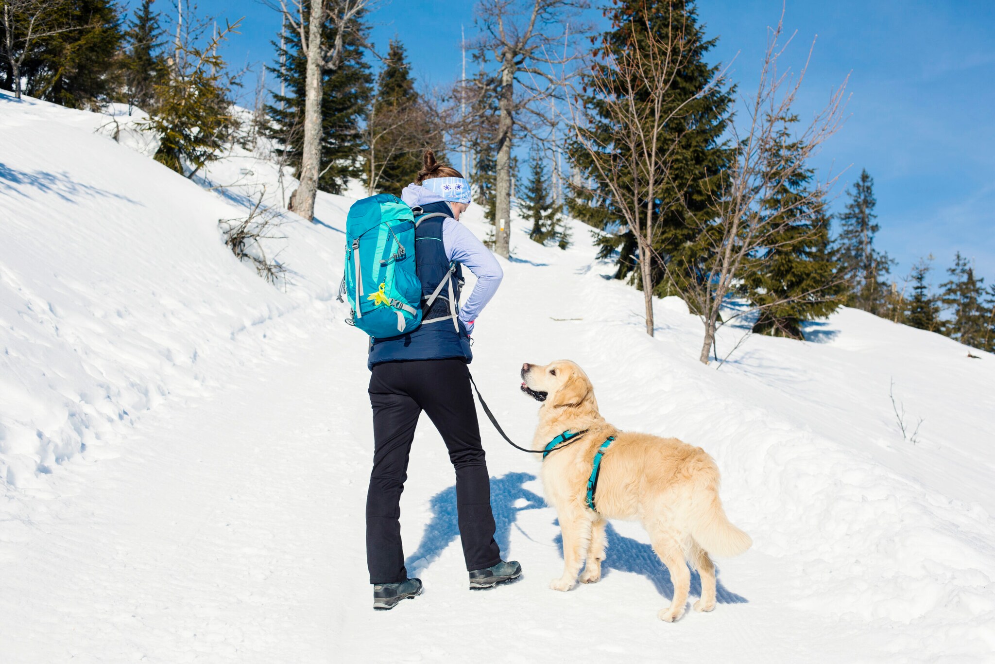 Frau mit Wanderrucksack und Hund im Schnee