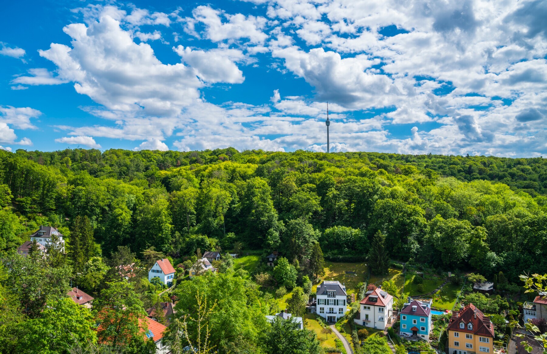 Panoramaaufnahme eines großen Waldgebietes mit freistehenden Häusern im Vordergrund, am Horizont ragt ein Fernsehturm in den Himmel