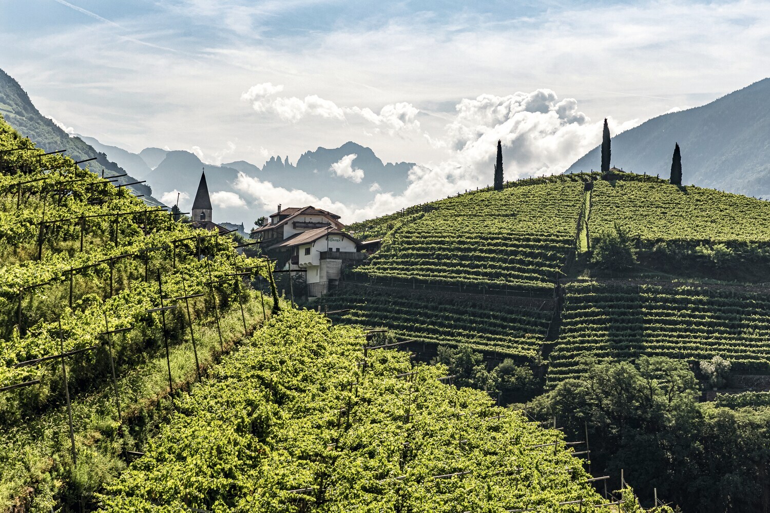 Berglandschaft mit Weinreben und einem kleinen Dorf im Hintergrund