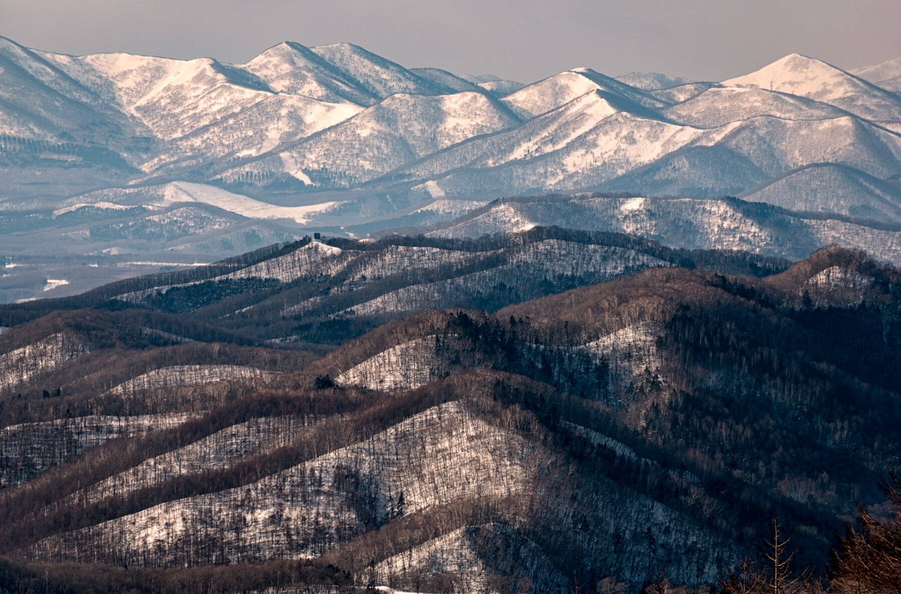 Landschaftspanorama mit verschneiten und bewaldeten Hügeln vor einer schneebedeckten Gebirgskette im Hintergrund Landschaftspanorama mit verschneiten und bewaldeten Hügeln vor einer schneebedeckten Gebirgskette im Hintergrund