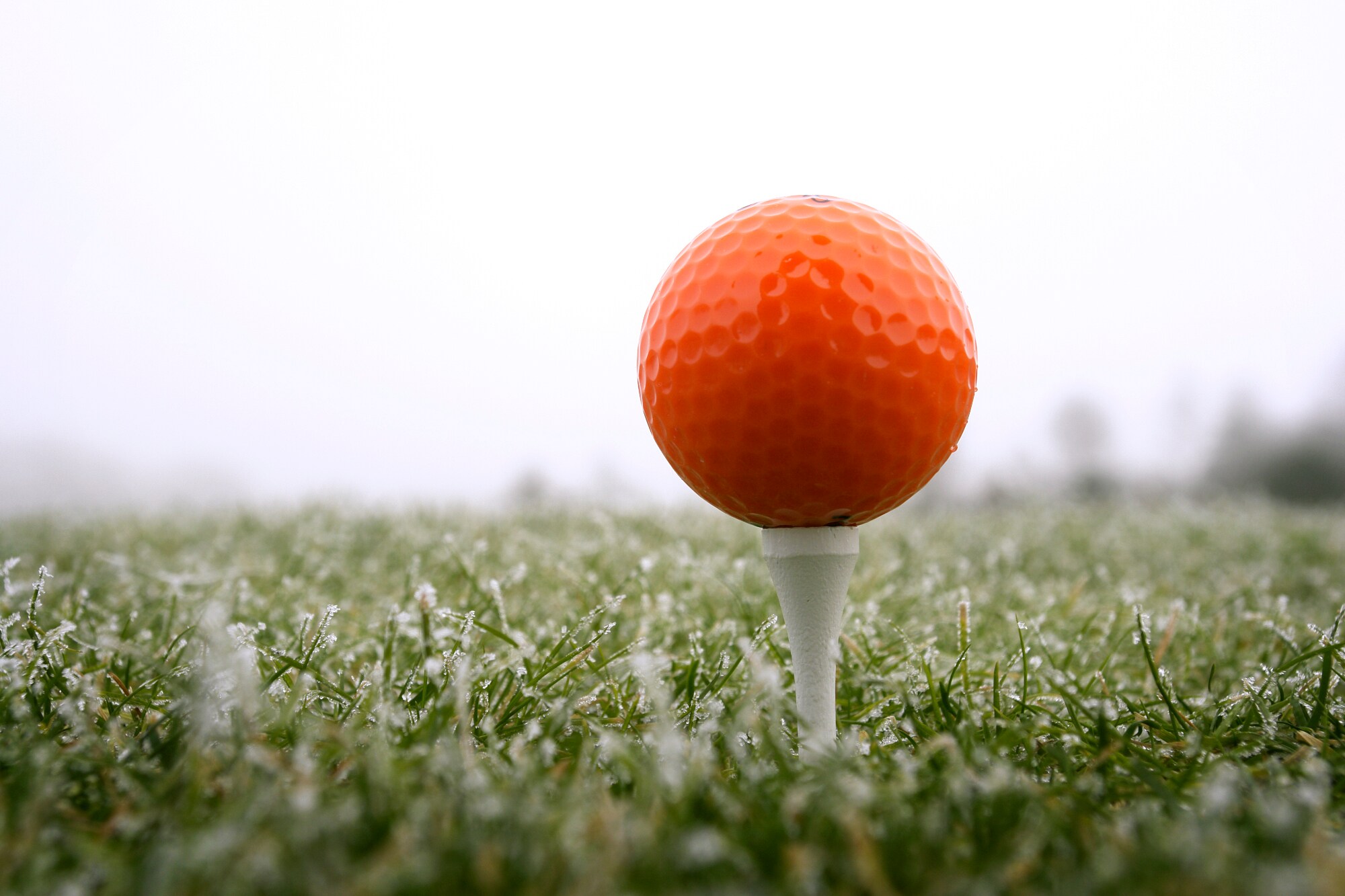Ein roter Golfball auf dem Tee, darunter taubedeckter Rasen