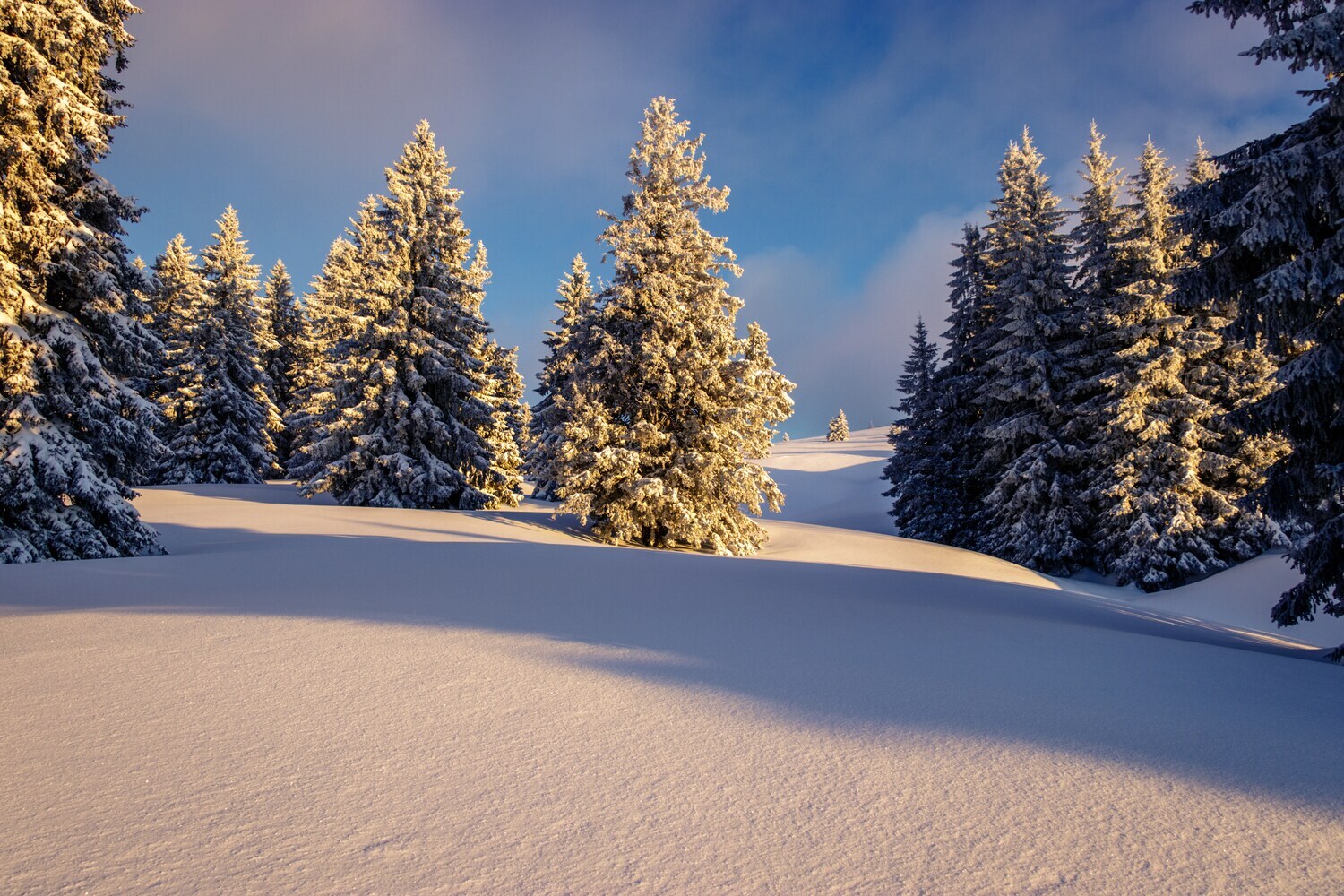 Eine schneebedeckte Landschaft am Morgen.