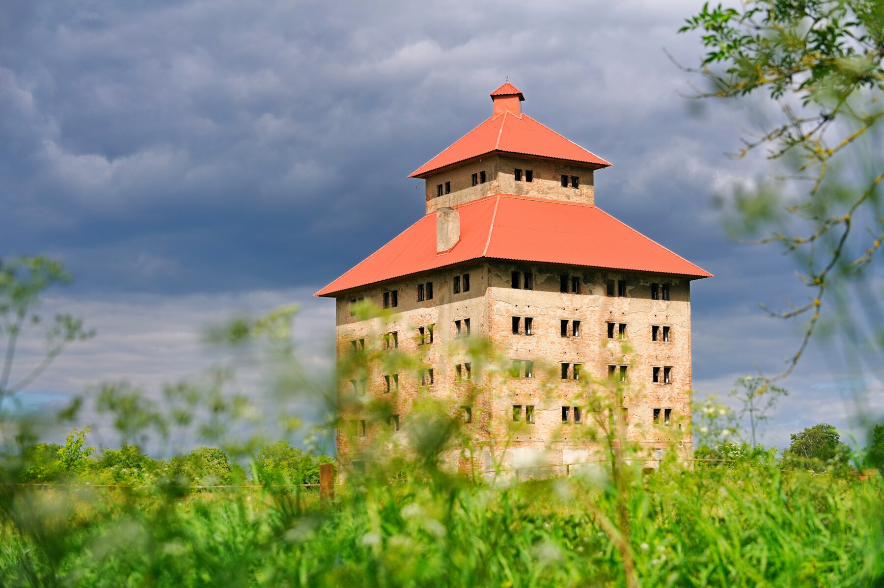 Ein Haus, im Vordergrund Sträucher