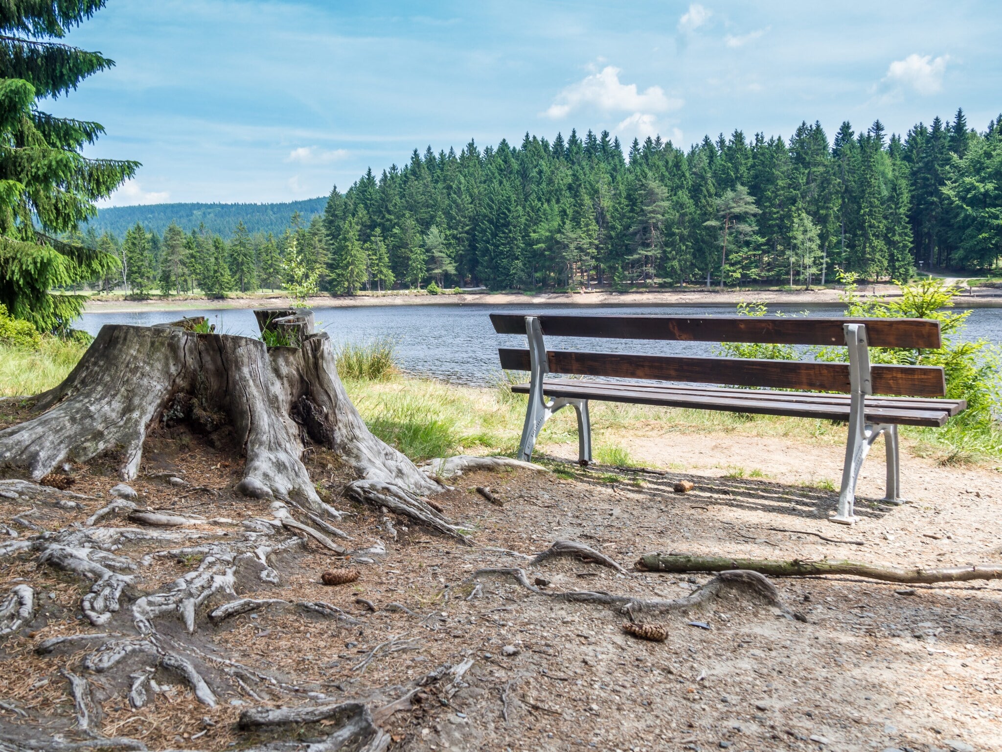 Bank und Baumstumpf mit Blick aufs Wasser Bank und Baumstumpf mit Blick aufs Wasser
