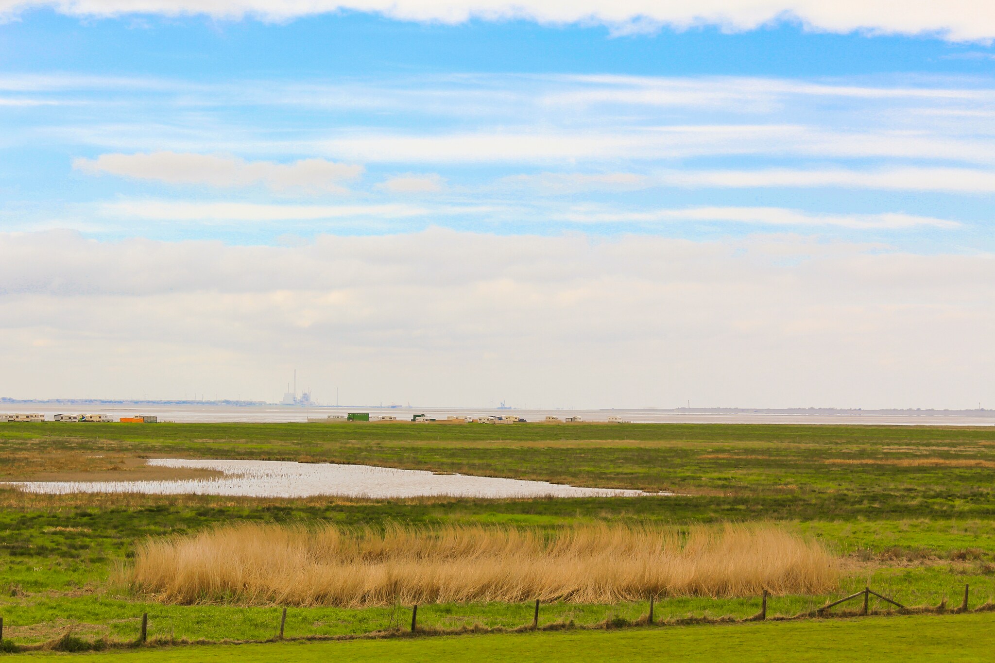 Graslandschaft in Norddeutschland