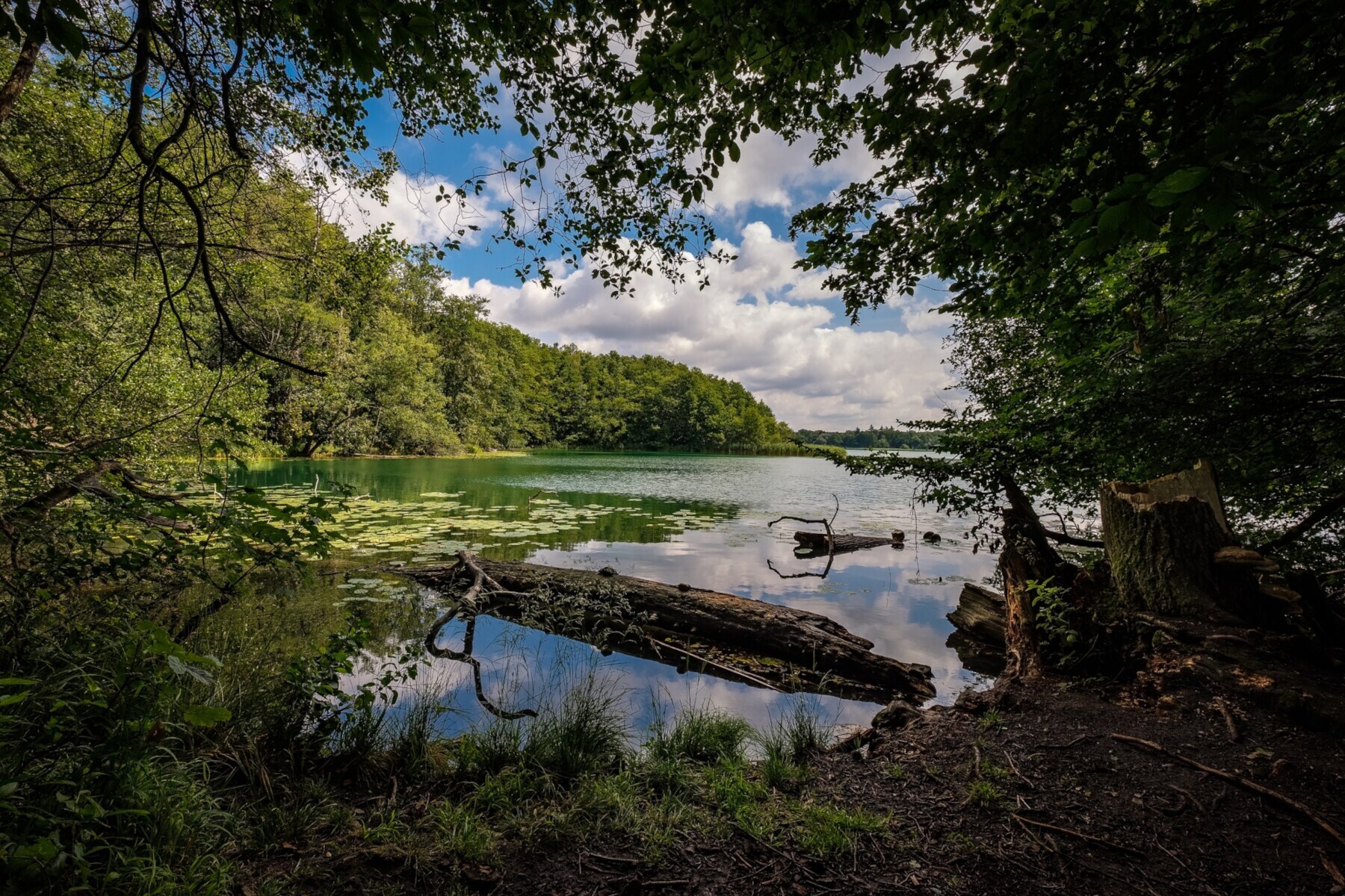 Der Schermützelsee in der Märkischen Schweiz