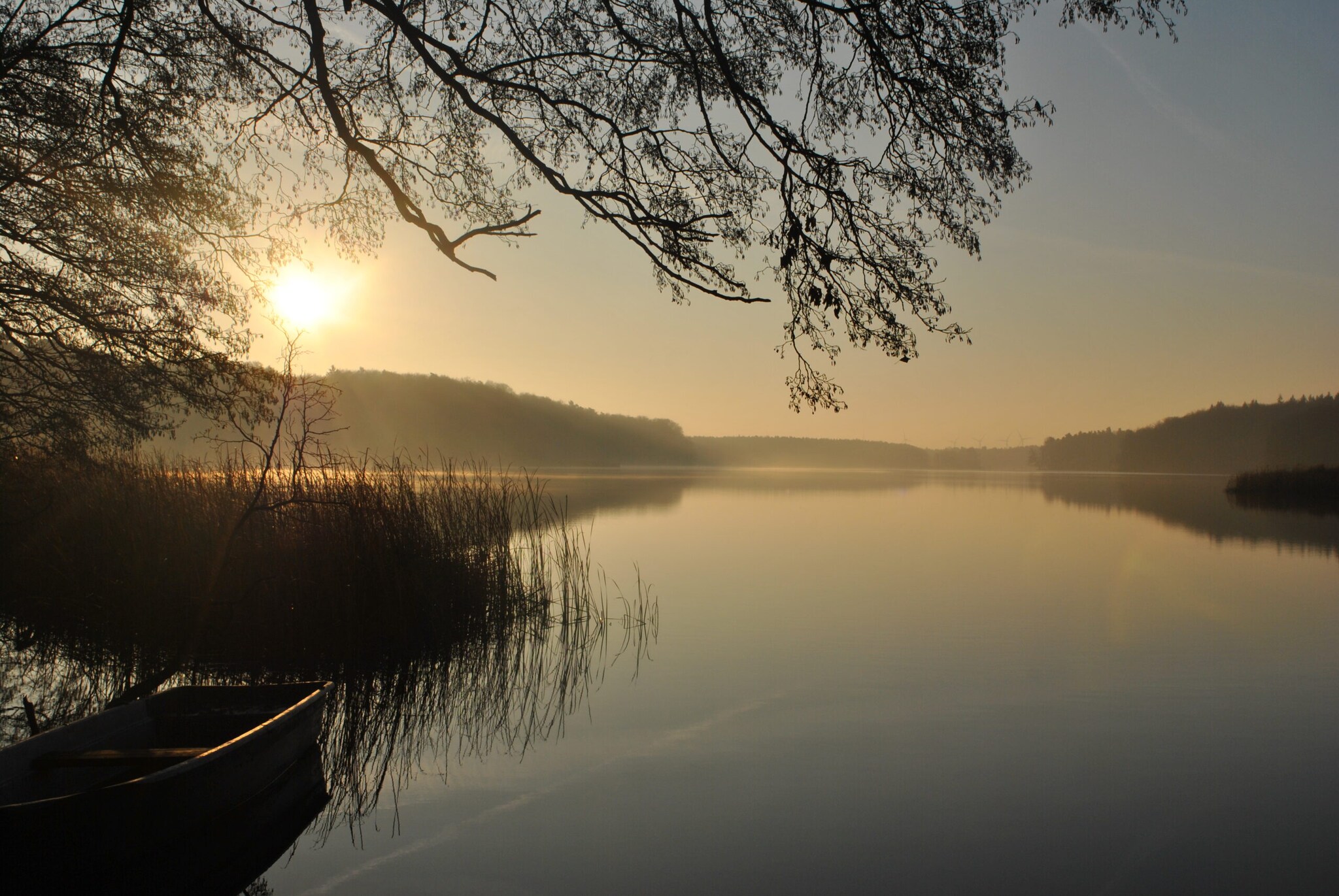 Blick auf einen See, im Vordergrund Schilf und ein Ruderboot
