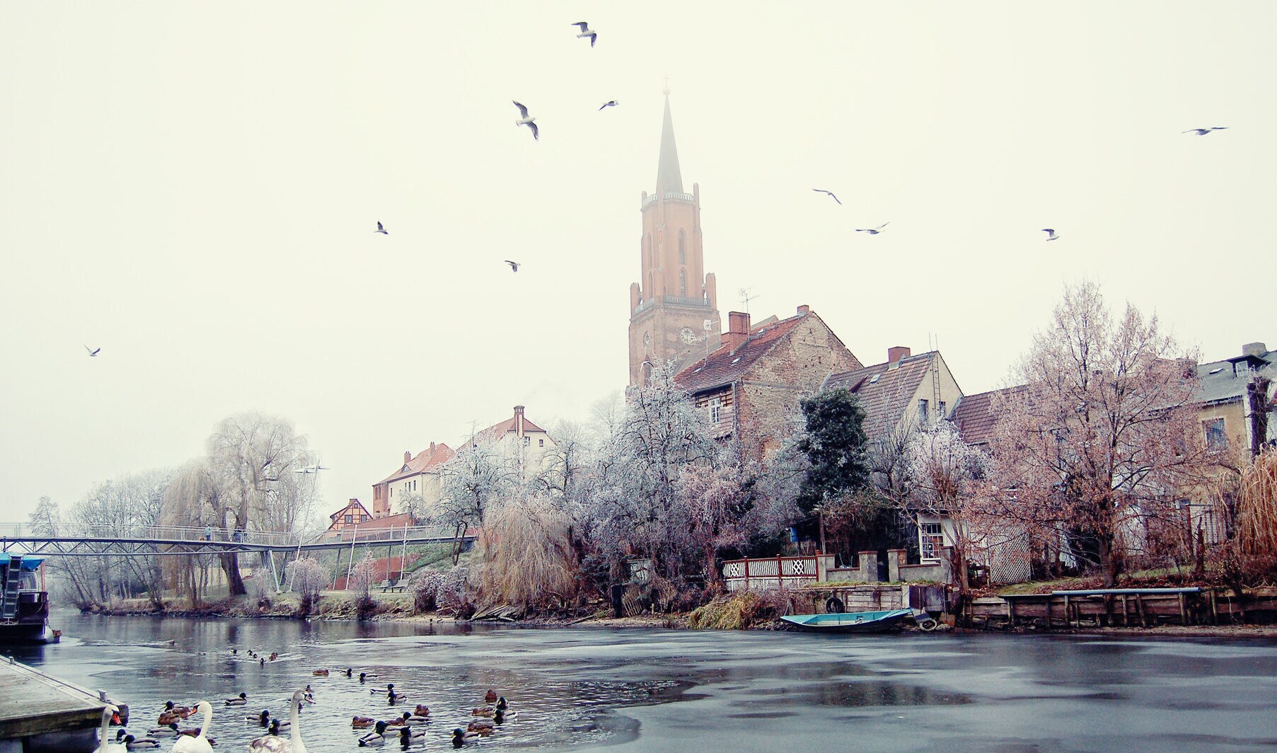 Ein See mit Schwänen und Enten, im Hintergrund Häuser und ein Kirchturm