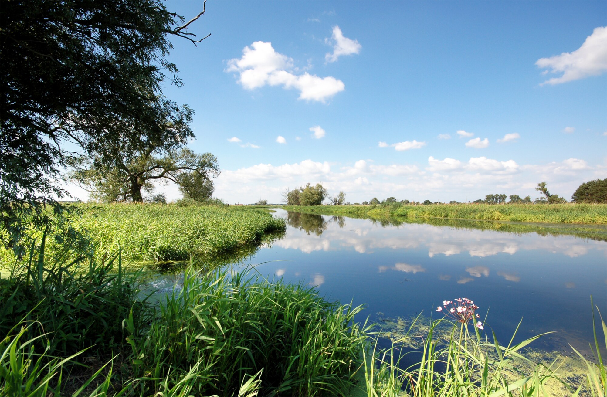 Ein von Wiesen und Bäumen umgebener Fluss Ein von Wiesen und Bäumen umgebener Fluss