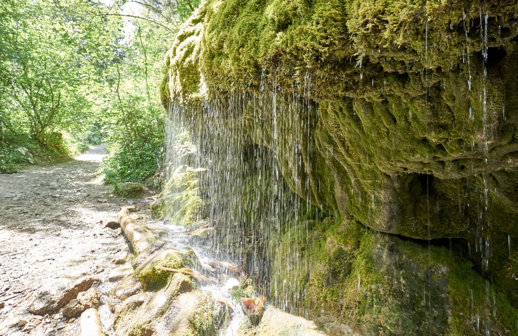 Ein Wasserfall fließt über einen moosigen Felsen Ein Wasserfall fließt über einen moosigen Felsen
