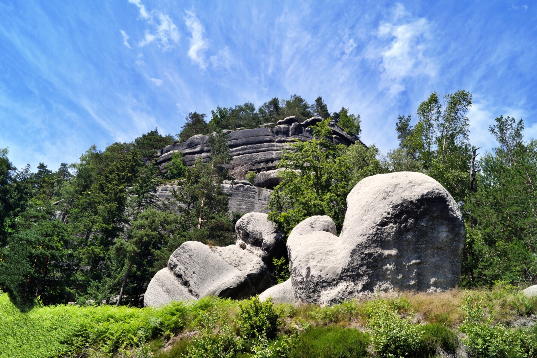 Felsformationen und Wald vor blauem Himmel