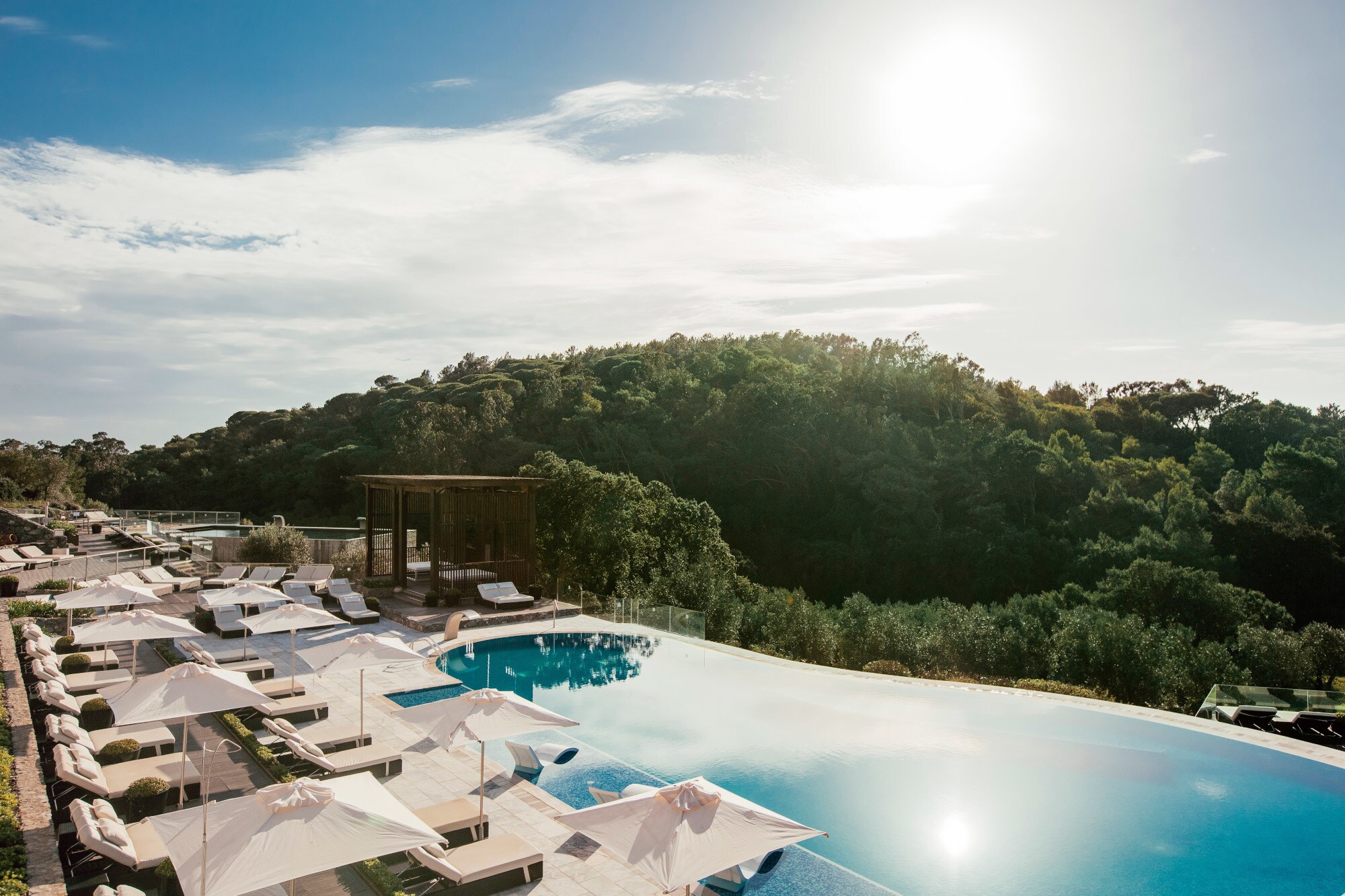 Ein Pool und Sonnenliegen in der Sonne, dahinter ein Wald