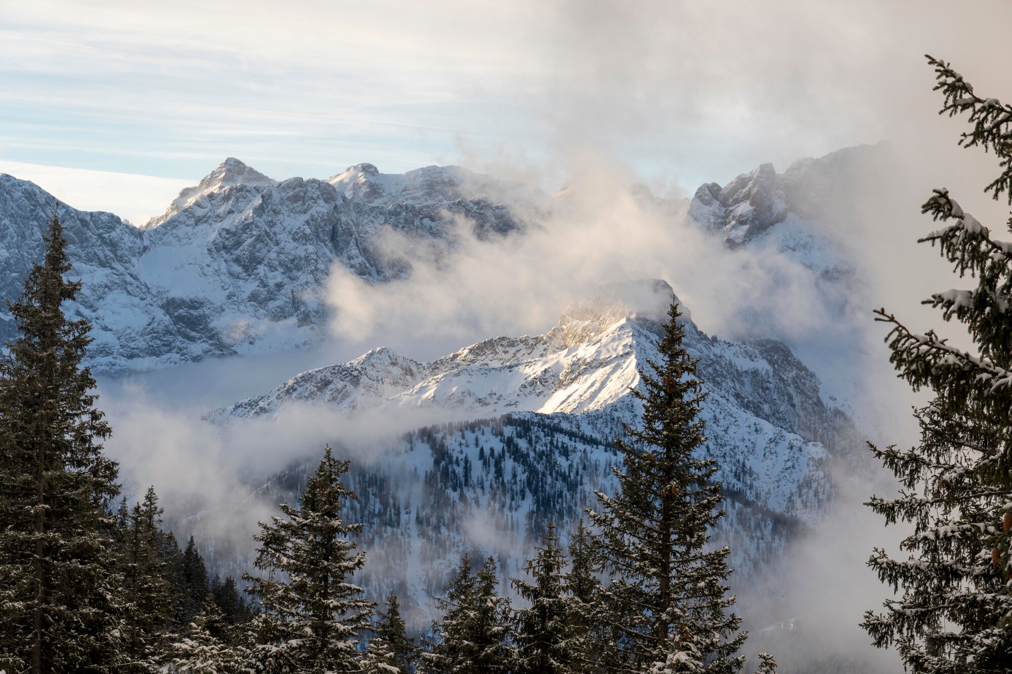 Schneebedeckte Berge, um die tiefhängende Wolken ziehen, im Vordergrund dunkle Tannen