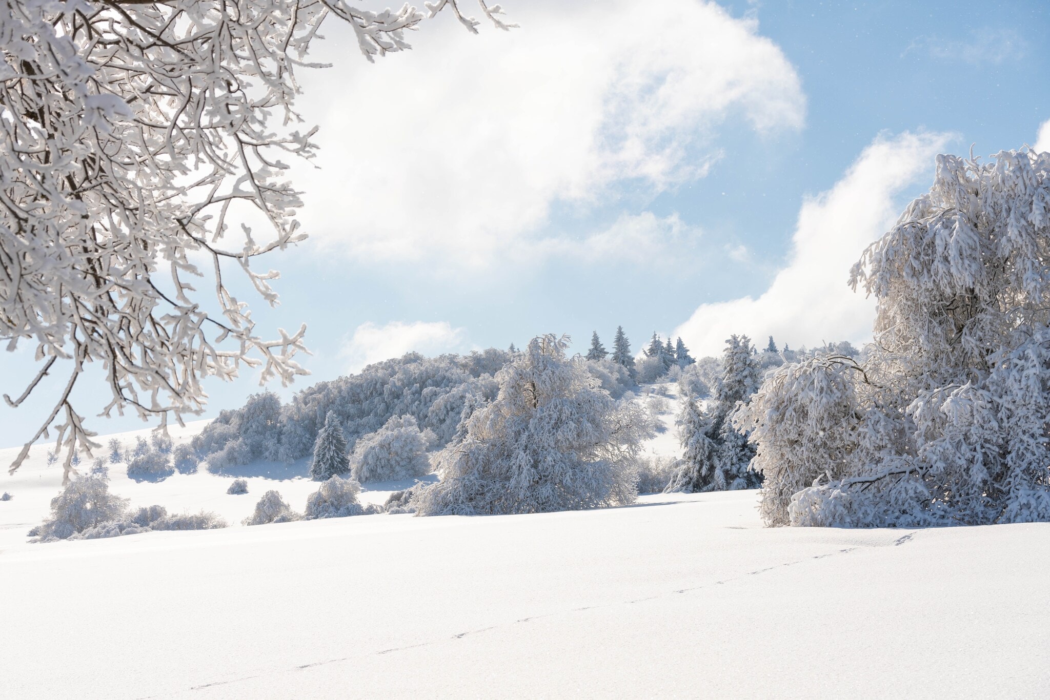 Blick auf eine schneebedeckte Landschaft mit Bäumen Blick auf eine schneebedeckte Landschaft mit Bäumen