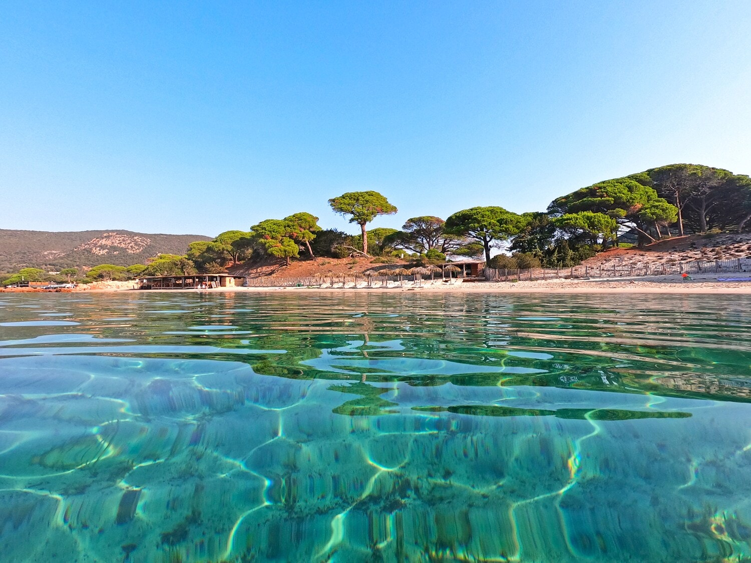 Der Strand Palombaggia auf Korsika mit türkisblauem Wasser