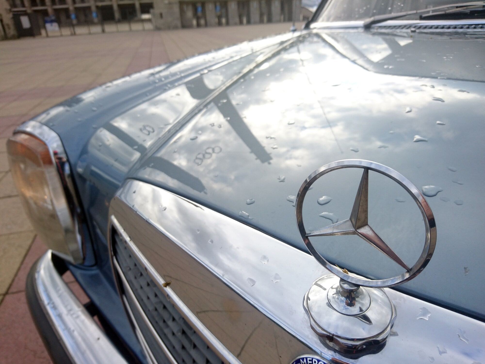 Ein Mercedes-Stern auf einem Mercedes-Benz von 1976 Ein Mercedes-Stern auf einem Mercedes-Benz von 1976
