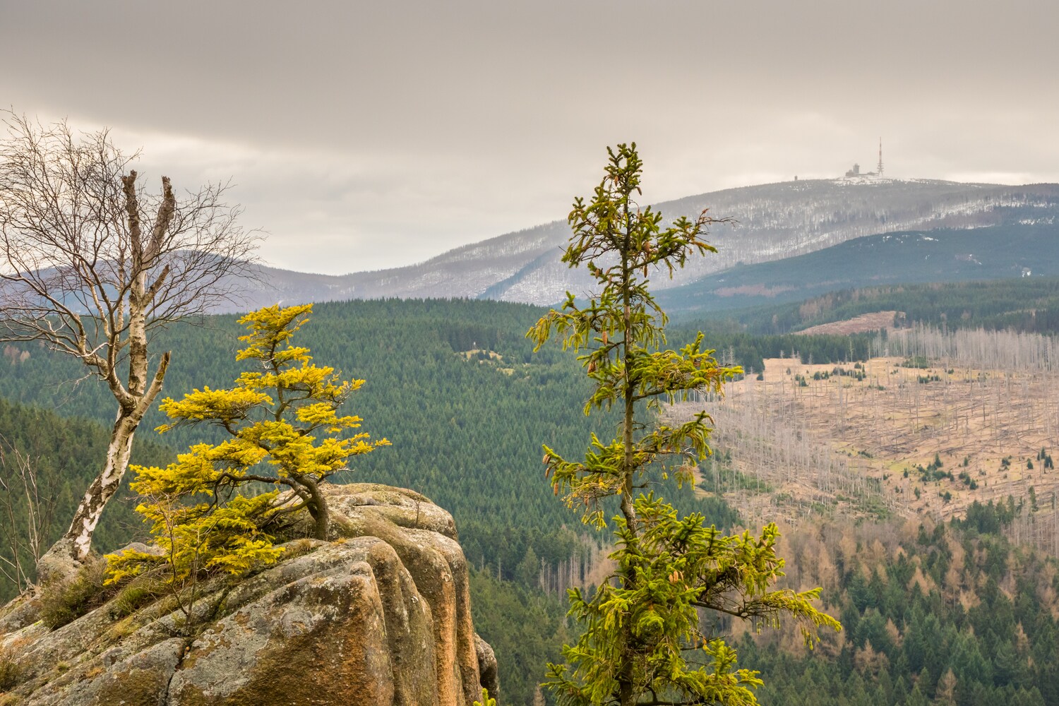 Blick auf den Brocken im Harz.