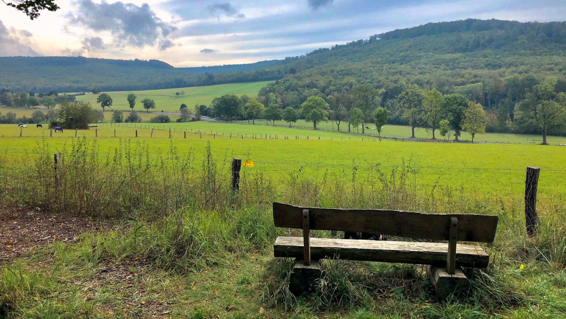 Eine hügelige Landschaft, im Vordergrund eine Holzbank