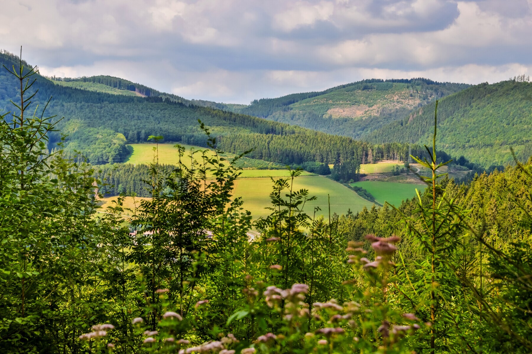 Eine Landschaft mit Bergen im Hintergrund