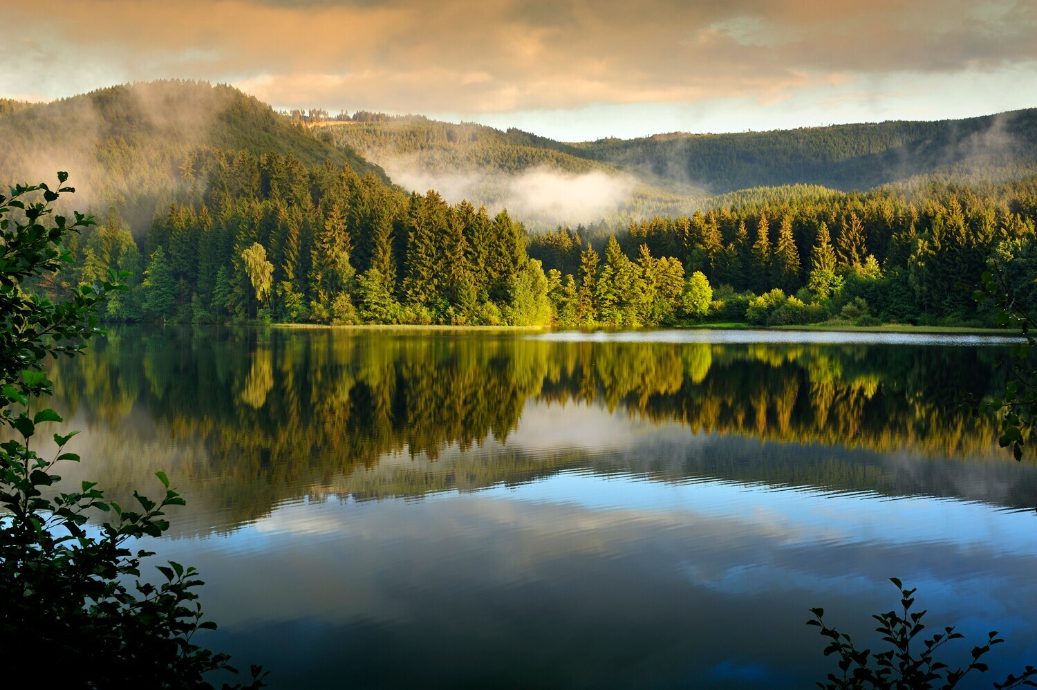 Im Sösestausee im Harz spiegeln sich die umliegenden Bäume.