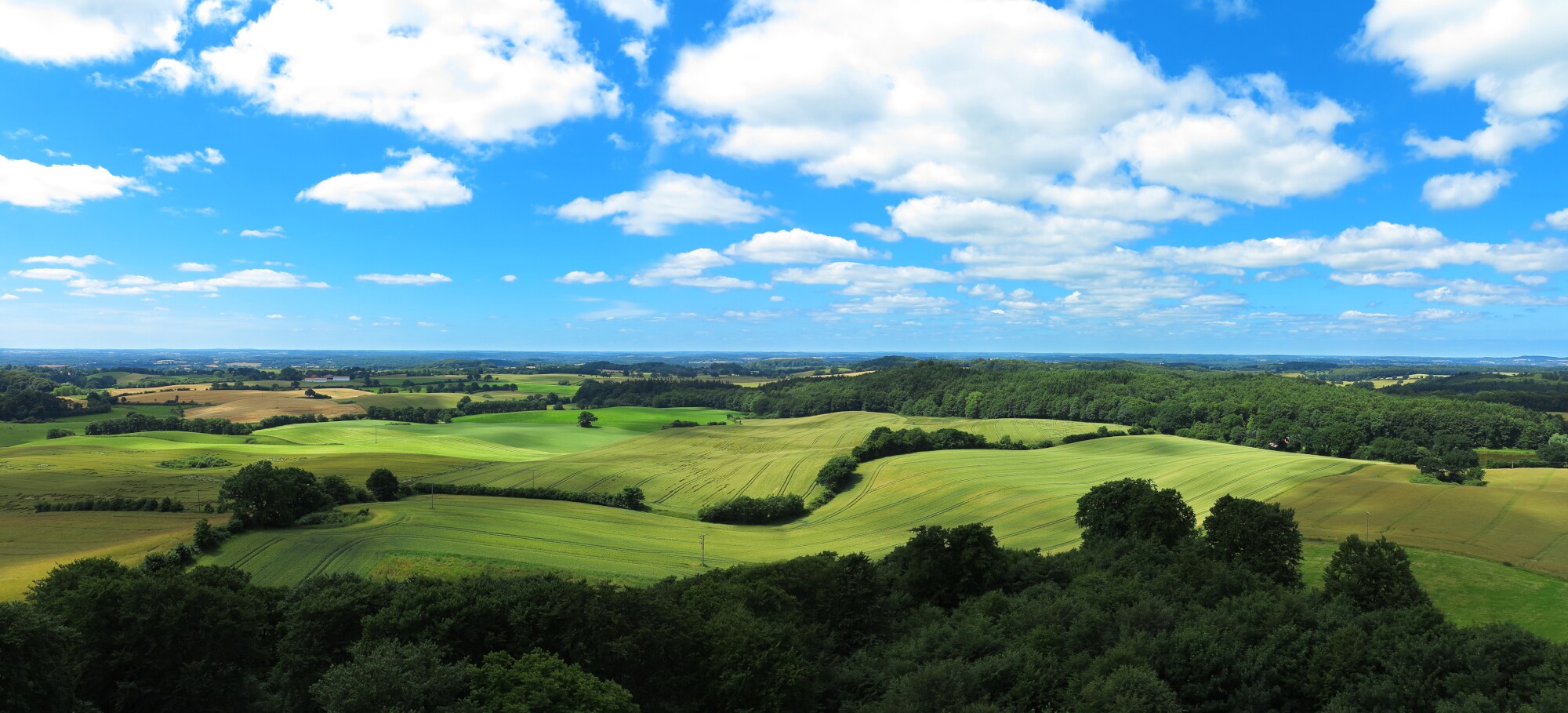 Der Bungsberg in der Holsteinischen Schweiz