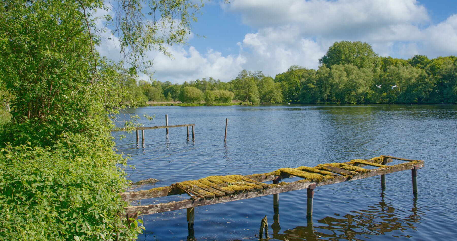 Ein See, alte moosbewachsene Stege führen aufs Wasser