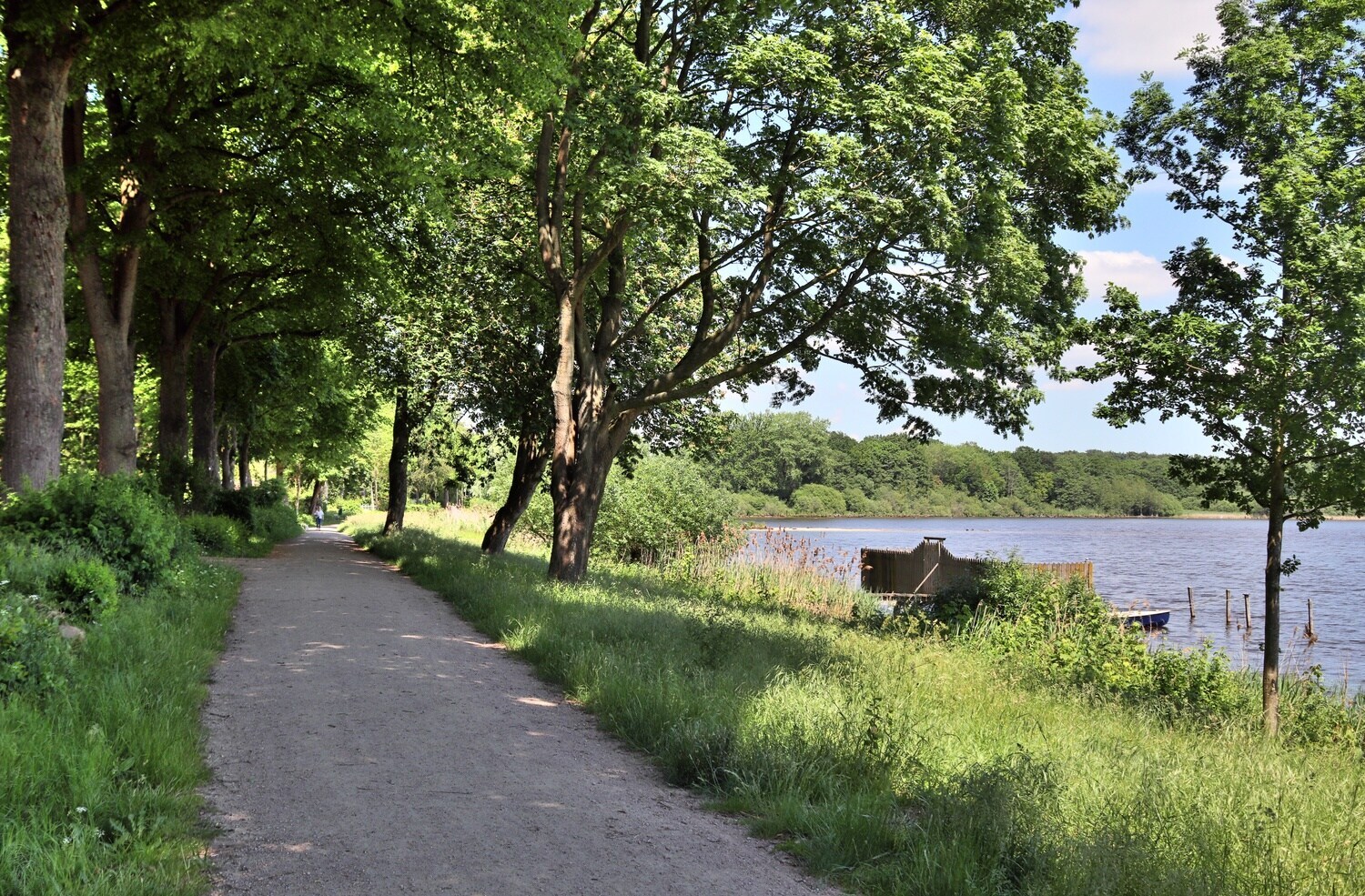 Ein malerischer Weg an einem See