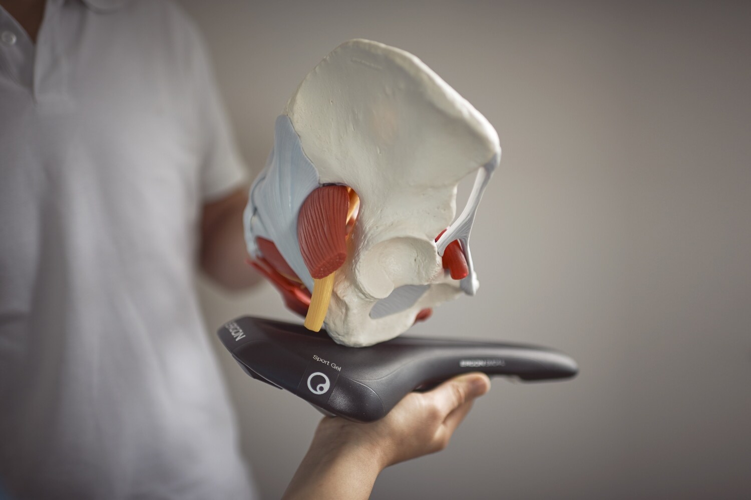 Anpassung eines Sattels.