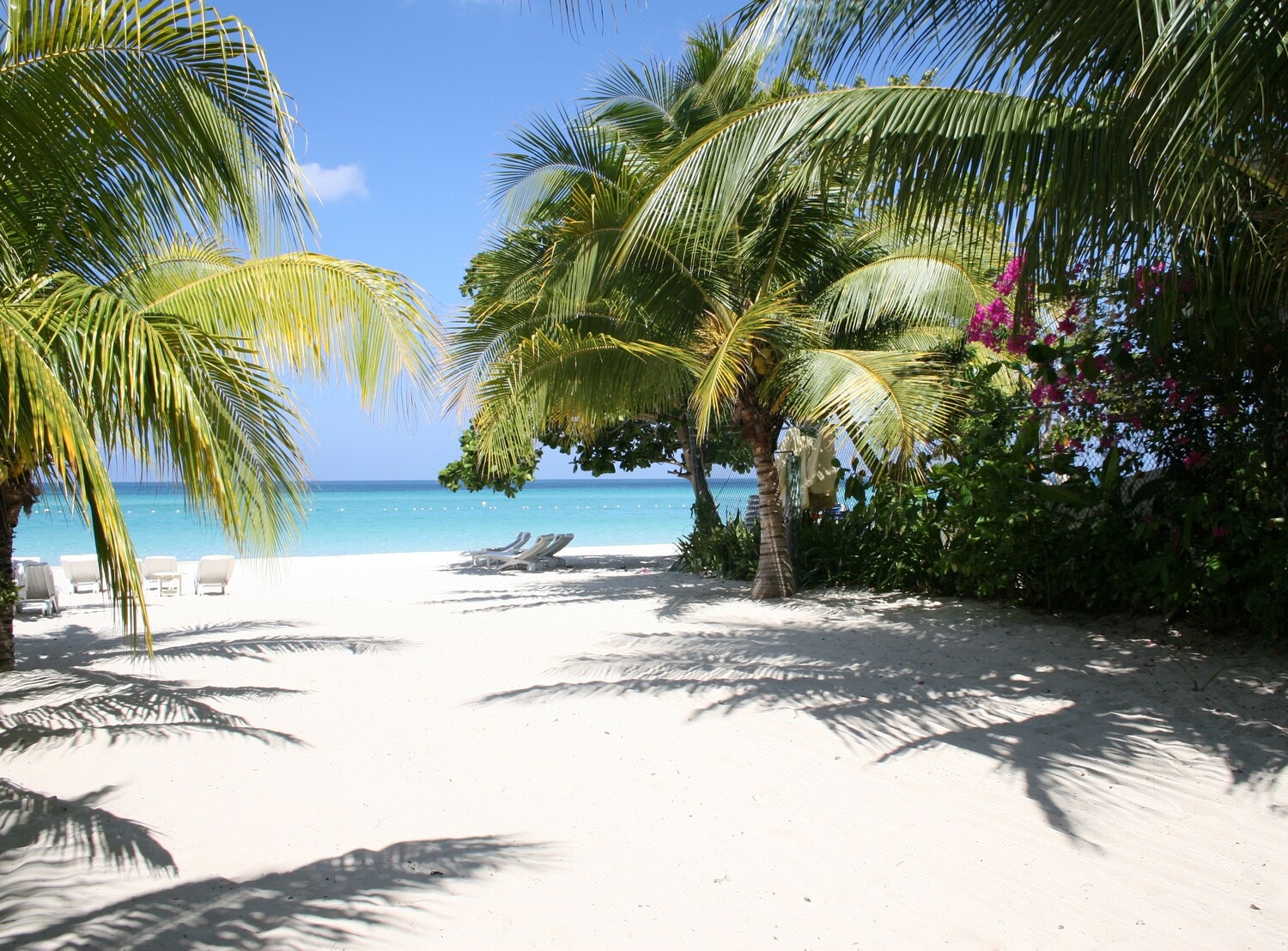Ein weißer Strand mit Palmen und türkisfarbenen Meer im Hintergrund Ein weißer Strand mit Palmen und türkisfarbenen Meer im Hintergrund