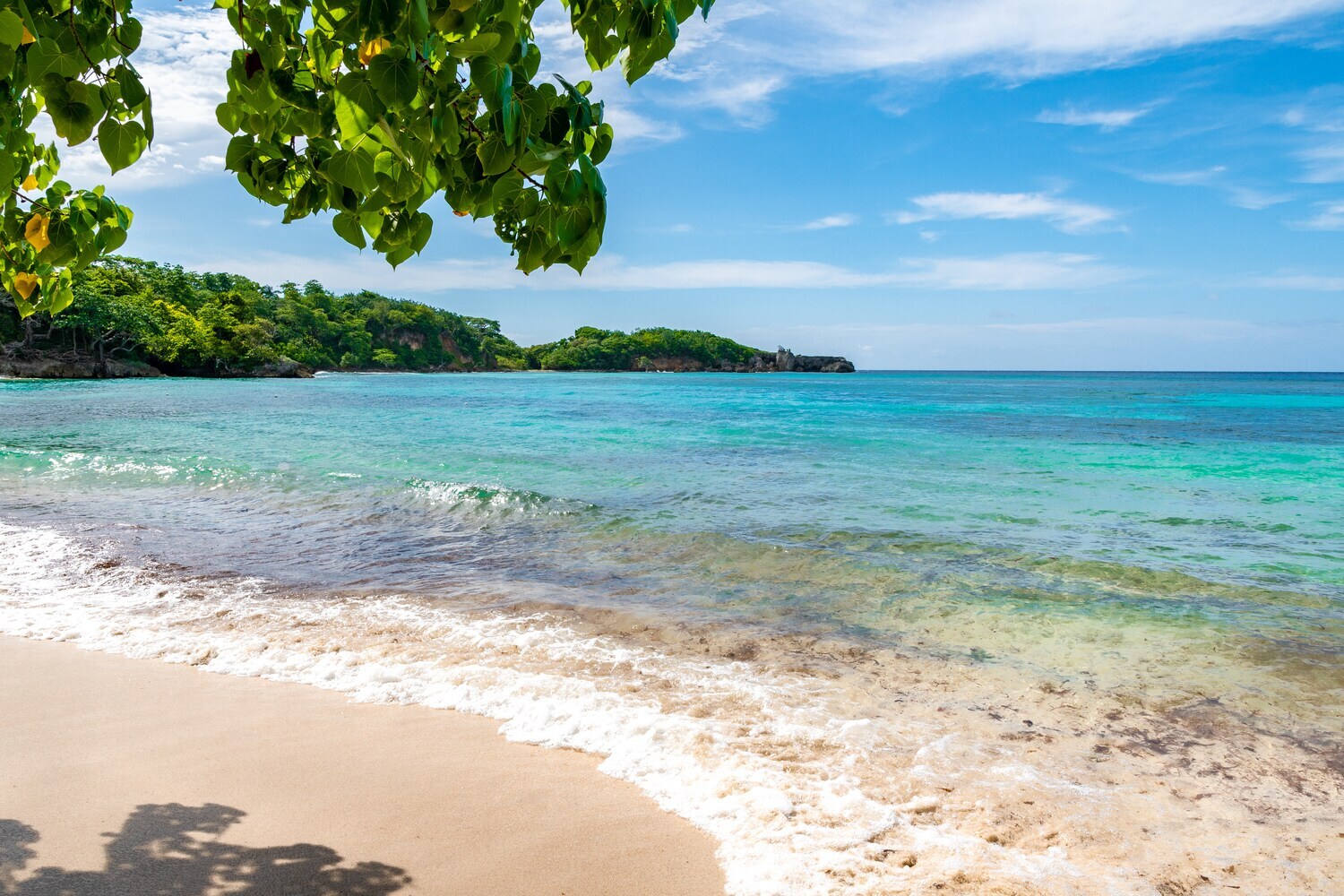 Ein Strandabschnitt mit Bäumen vor dem türkisfarbenen Meer