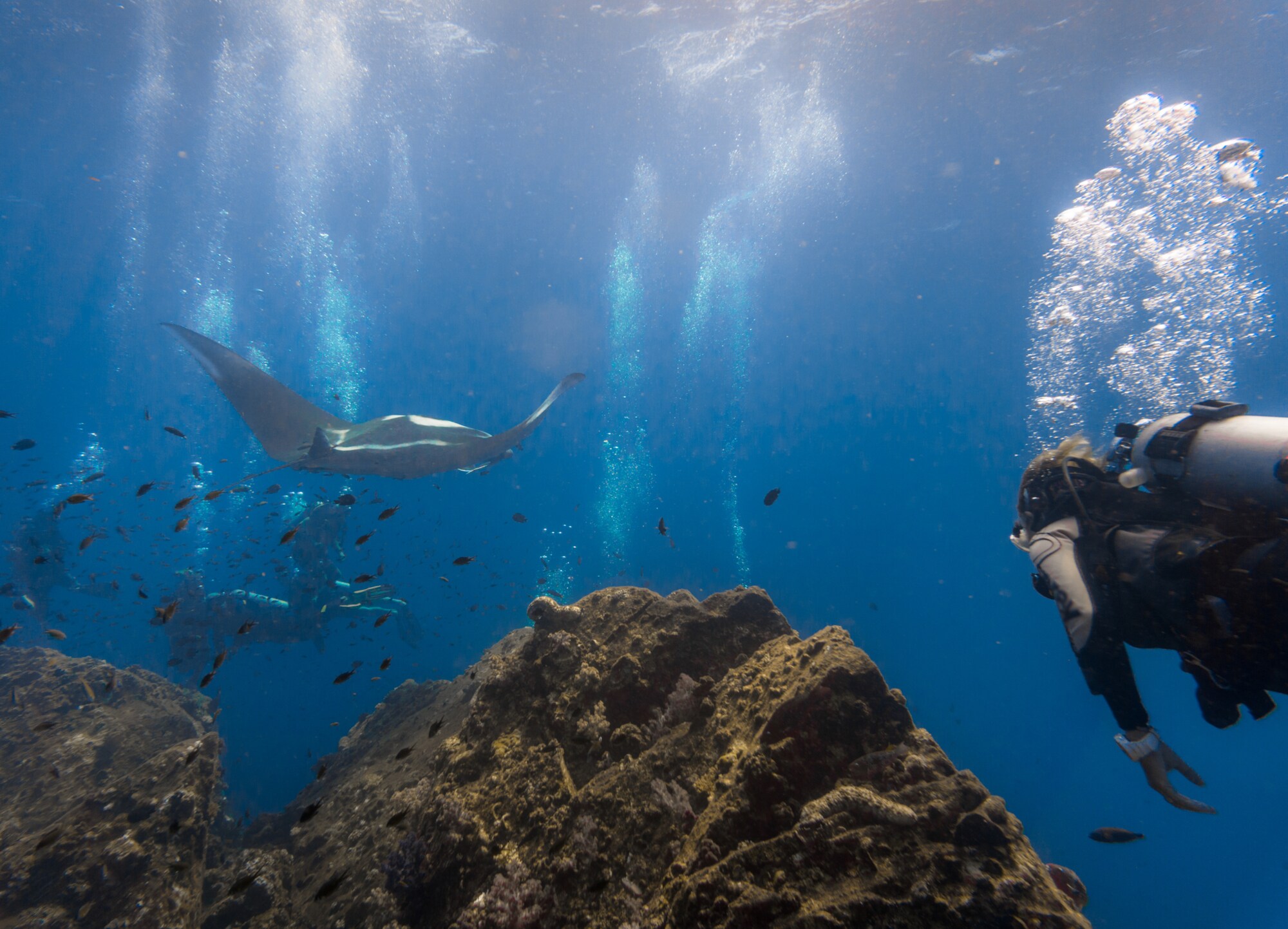 Eine tauchende Person im Meer vor einem Felsen und einem großen Rochen