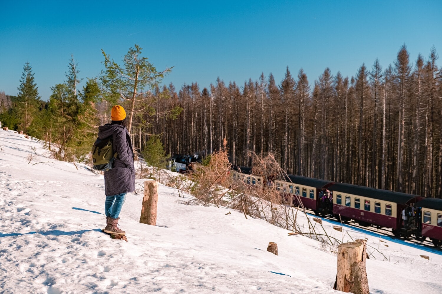 Eine Frau im Schnee vor einem Wald und einer Bahnlinie Eine Frau im Schnee vor einem Wald und einer Bahnlinie