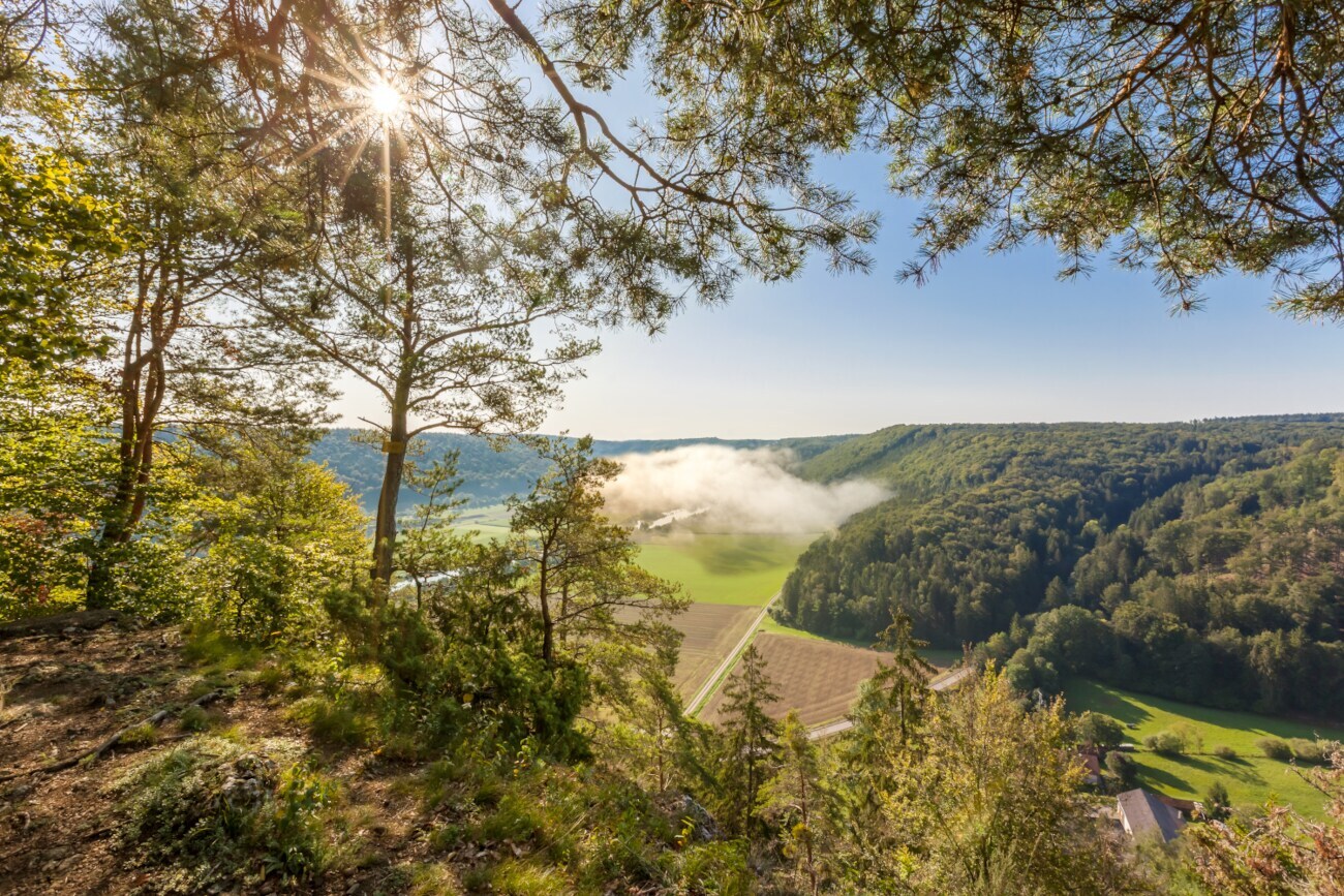 Blick auf das Altmühltal.