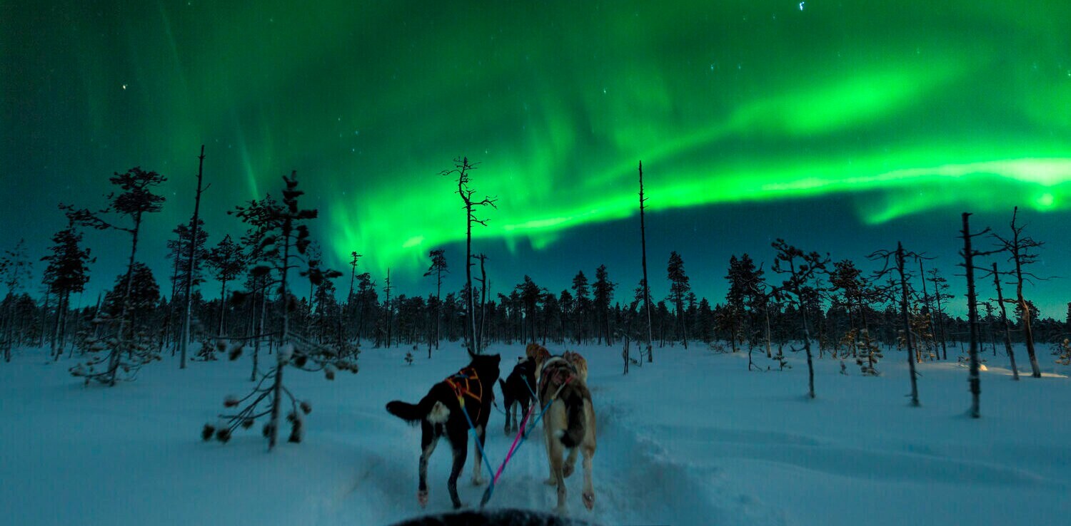 Hunde ziehen einen Hundeschlitten unter Polarlicht. Hunde ziehen einen Hundeschlitten unter Polarlicht.
