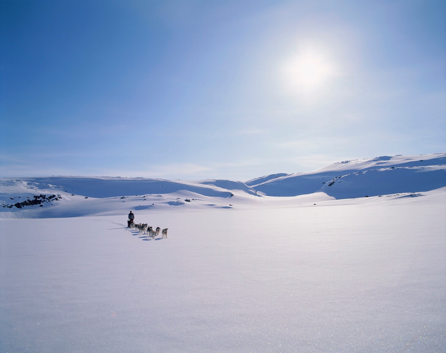 Ein Hundeschlitten im Schnee.