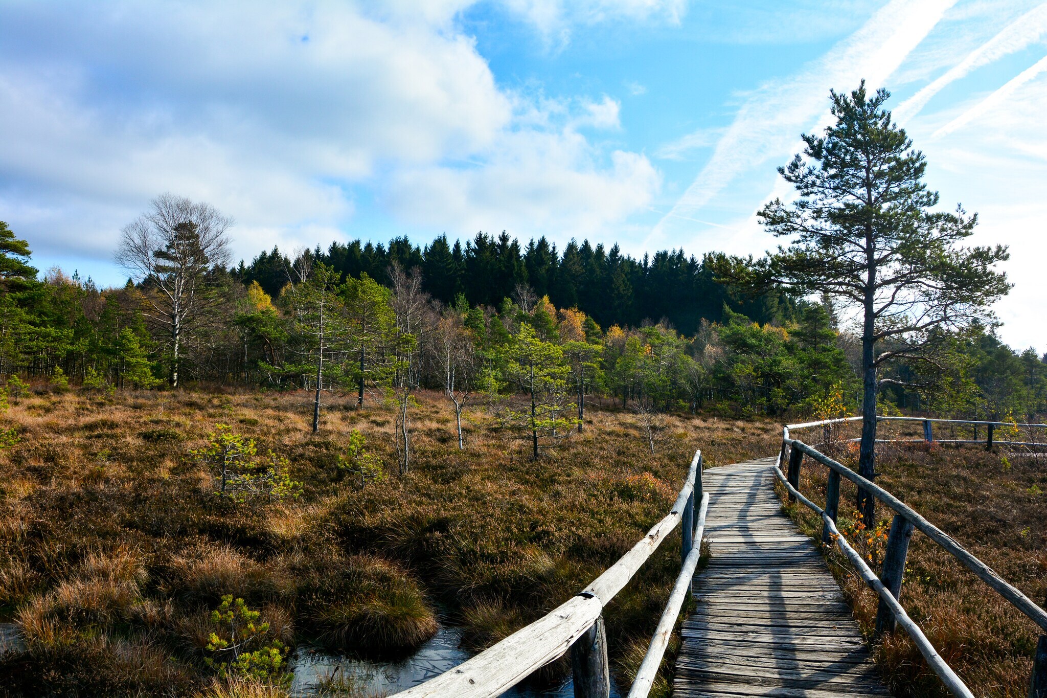 Wanderweg aus Holz führt über ein Hochmoor im Naturpark Bayrische Rhön.