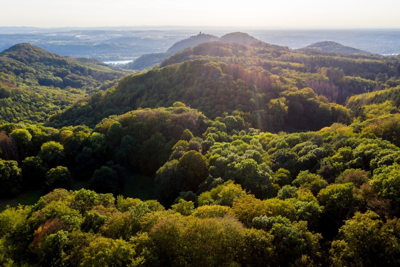 Blick auf das Siebengebirge nahe Bonn