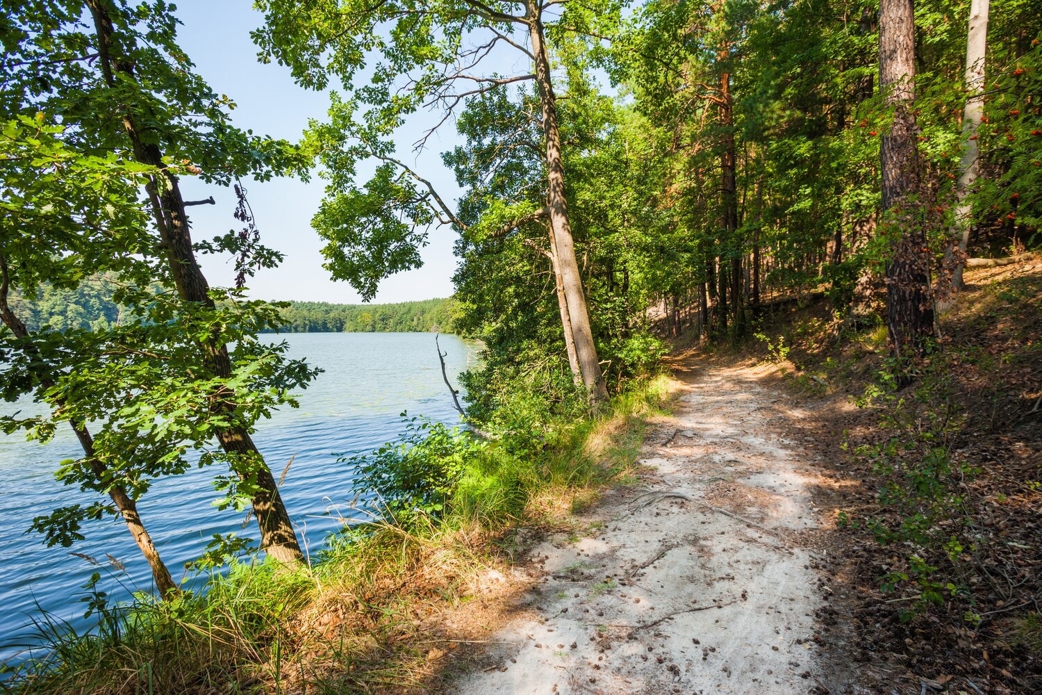 Sandiger Wanderweg neben einem Gewässer. Sandiger Wanderweg neben einem Gewässer.