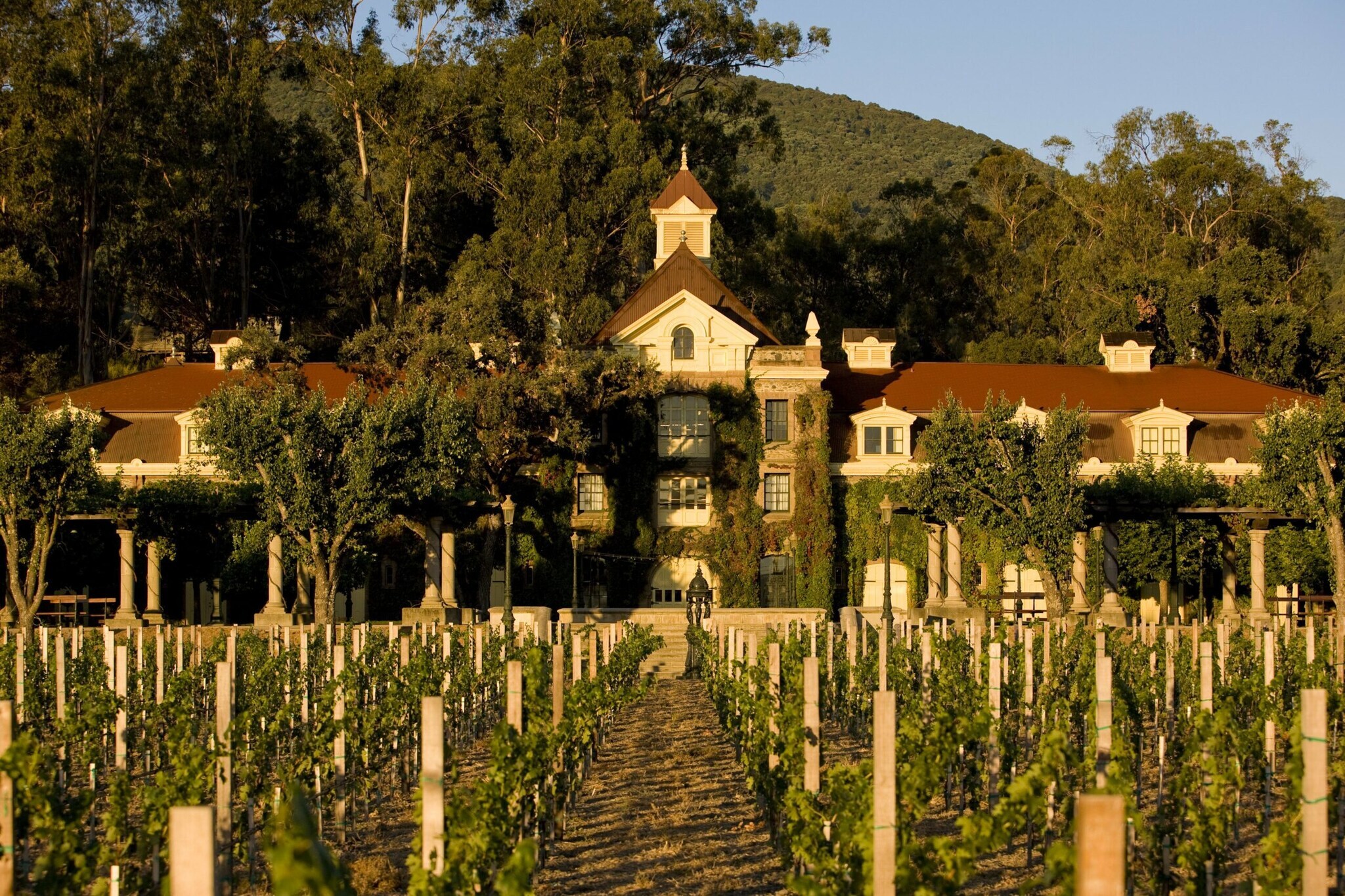 Das prachtvolles, begrünte Hauptgebäude auf dem Weingut Inglenook in Rutherford in der Abendsonne