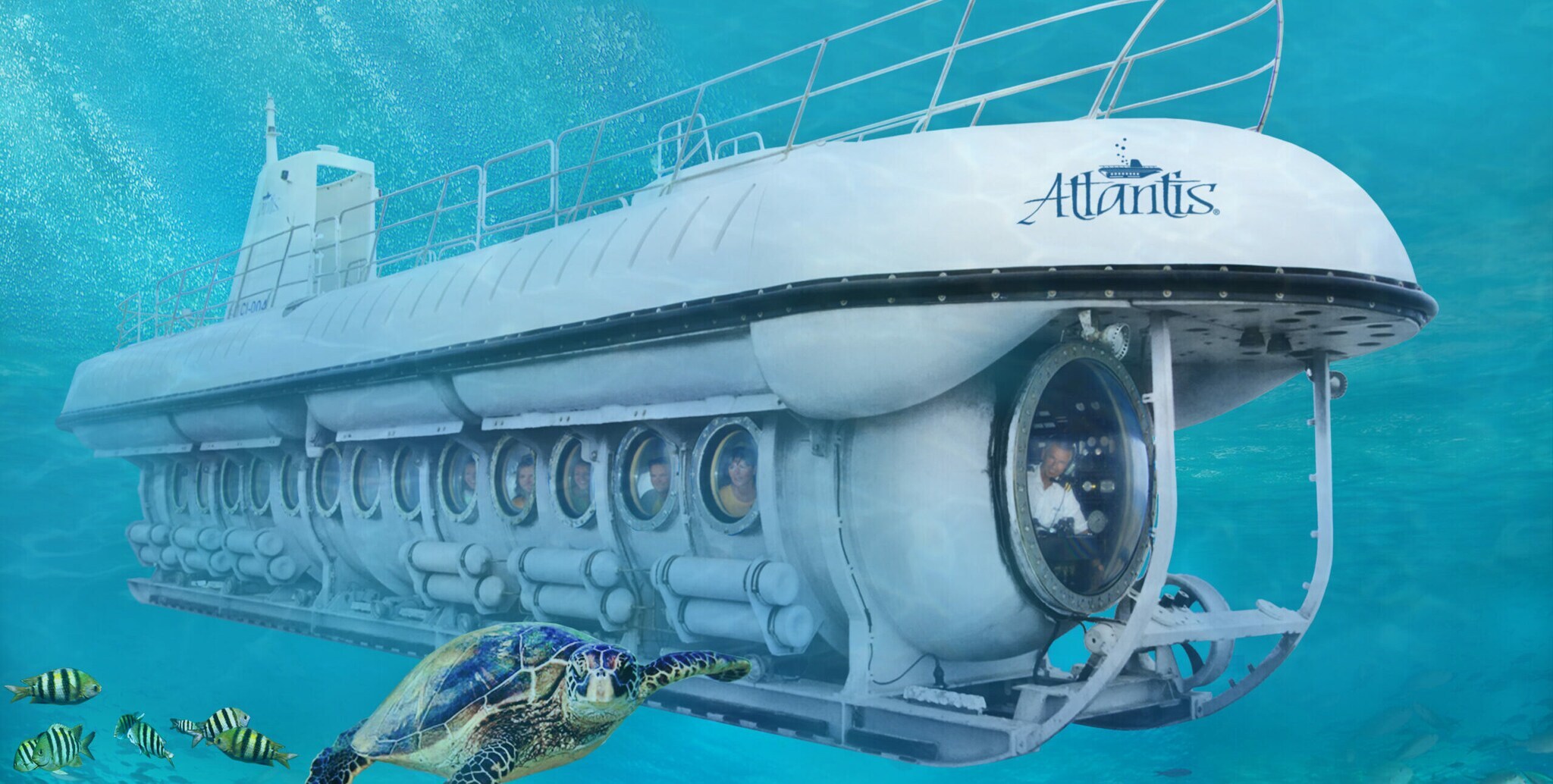 Das U-Boot Ocean Quest unter Wasser, aus mehreren Bullaugen schauen Mitfahrende auf eine Schildkröte und Fische.