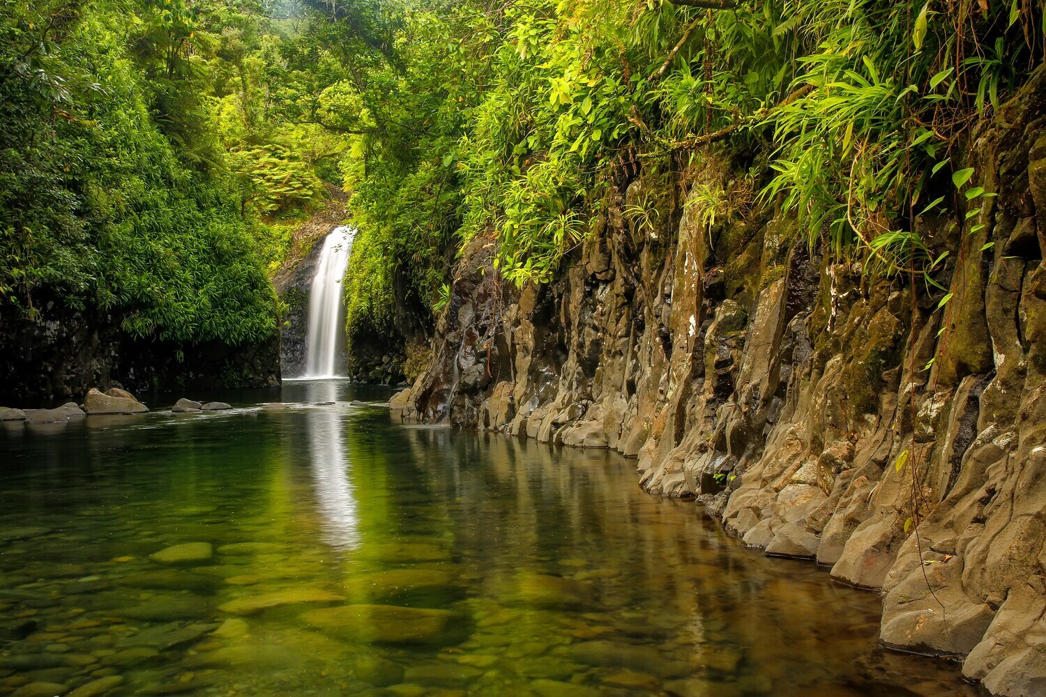 Ein See im Regenwald mit Wasserfall