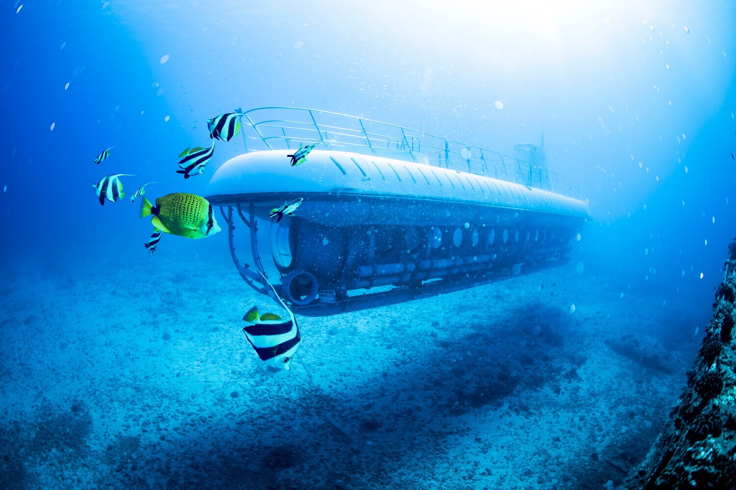 Ein U-Boot unter Wasser umgeben von bunten Fischen.