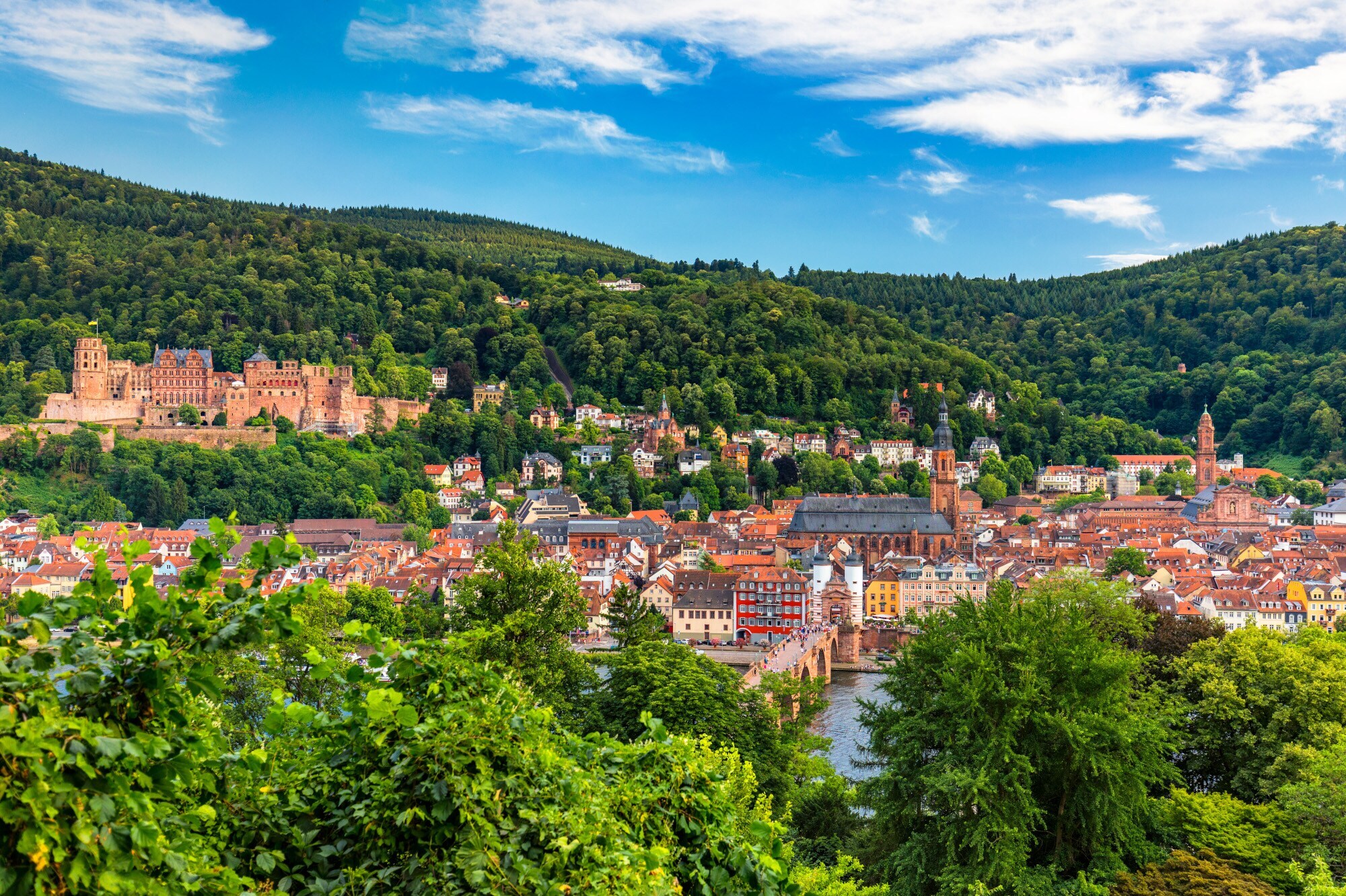 Panoramaaufnahme von Heidelberg im Sommer