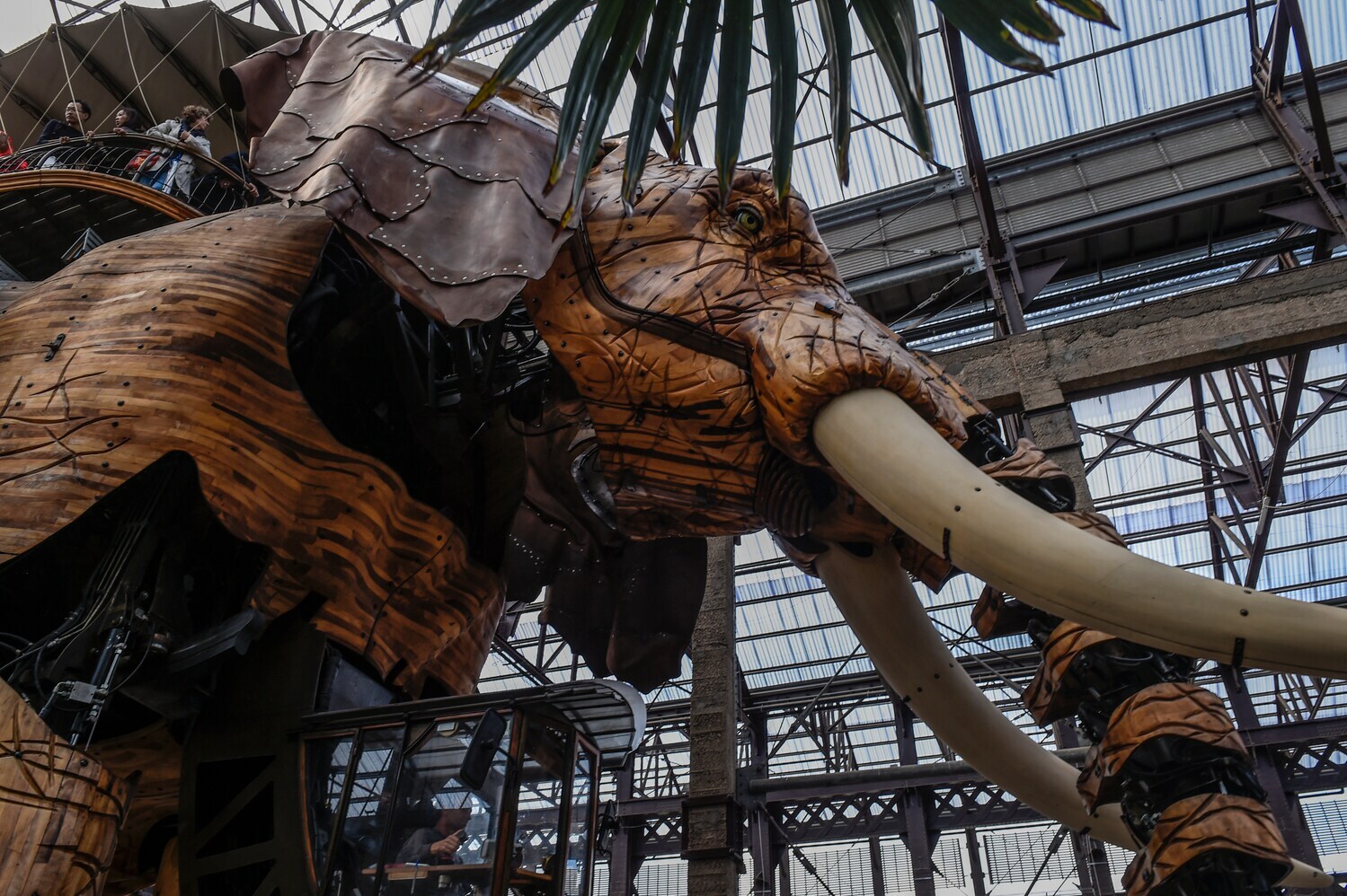 Ein riesiger Elefant aus Metall und Holz marschiert durch eine Eventhalle mit Palmen.