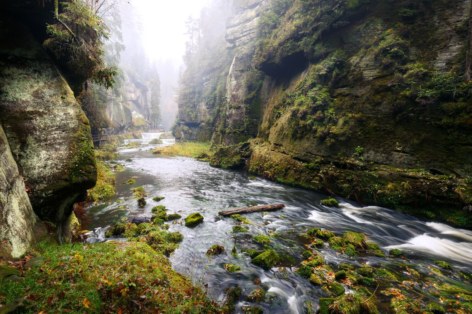 Die Kamnitzklamm im Elbsandsteingebirge in Tschechien